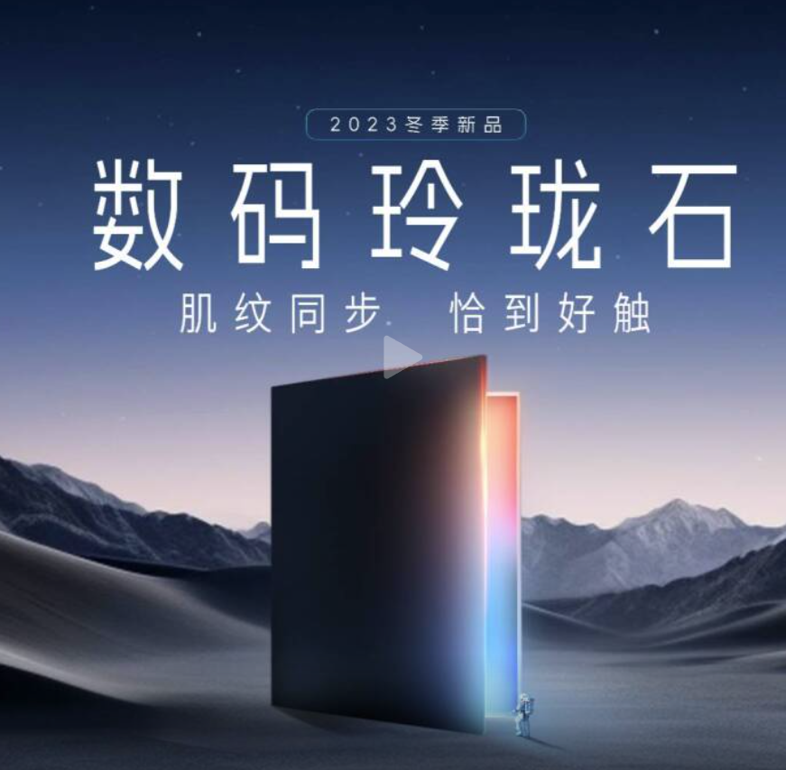 德利丰视频3