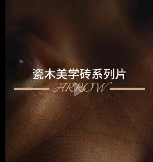 箭牌视频3