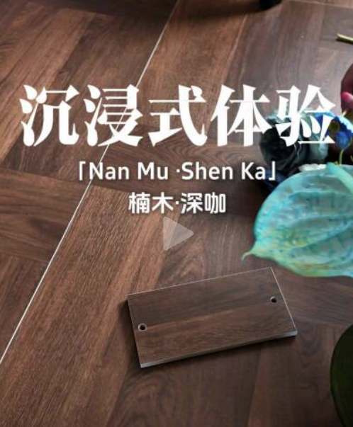 箭牌视频6